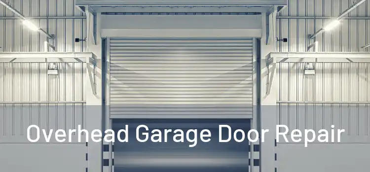  Overhead Garage Door Repair 